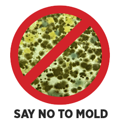 Mold